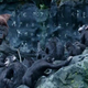 Image for article titled Dawn of the Planet of the Apes Is the Most Upsetting Dystopia of All